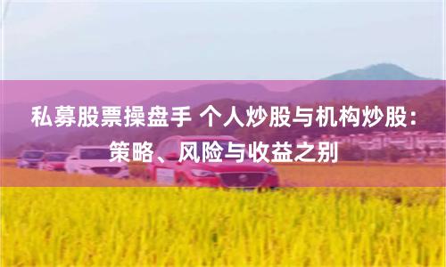 私募股票操盘手 个人炒股与机构炒股：策略、风险与收益之别