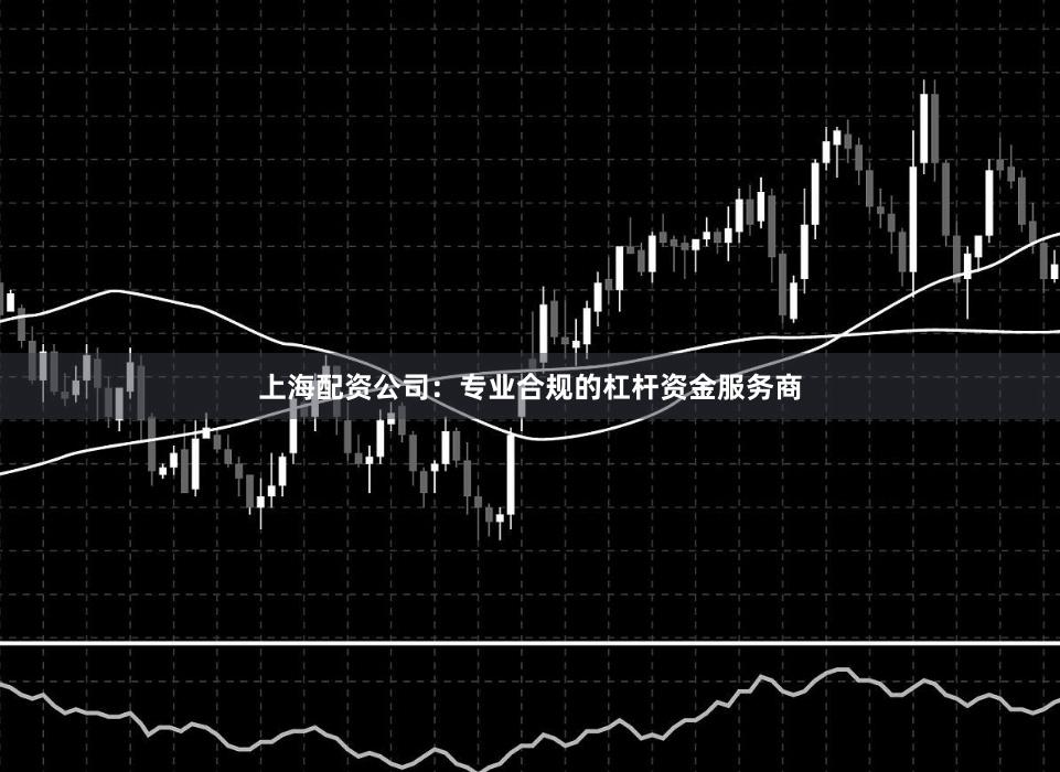 上海配资公司：专业合规的杠杆资金服务商