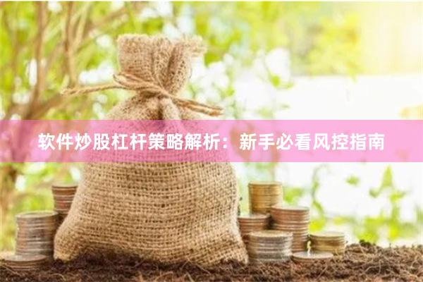 软件炒股杠杆策略解析：新手必看风控指南